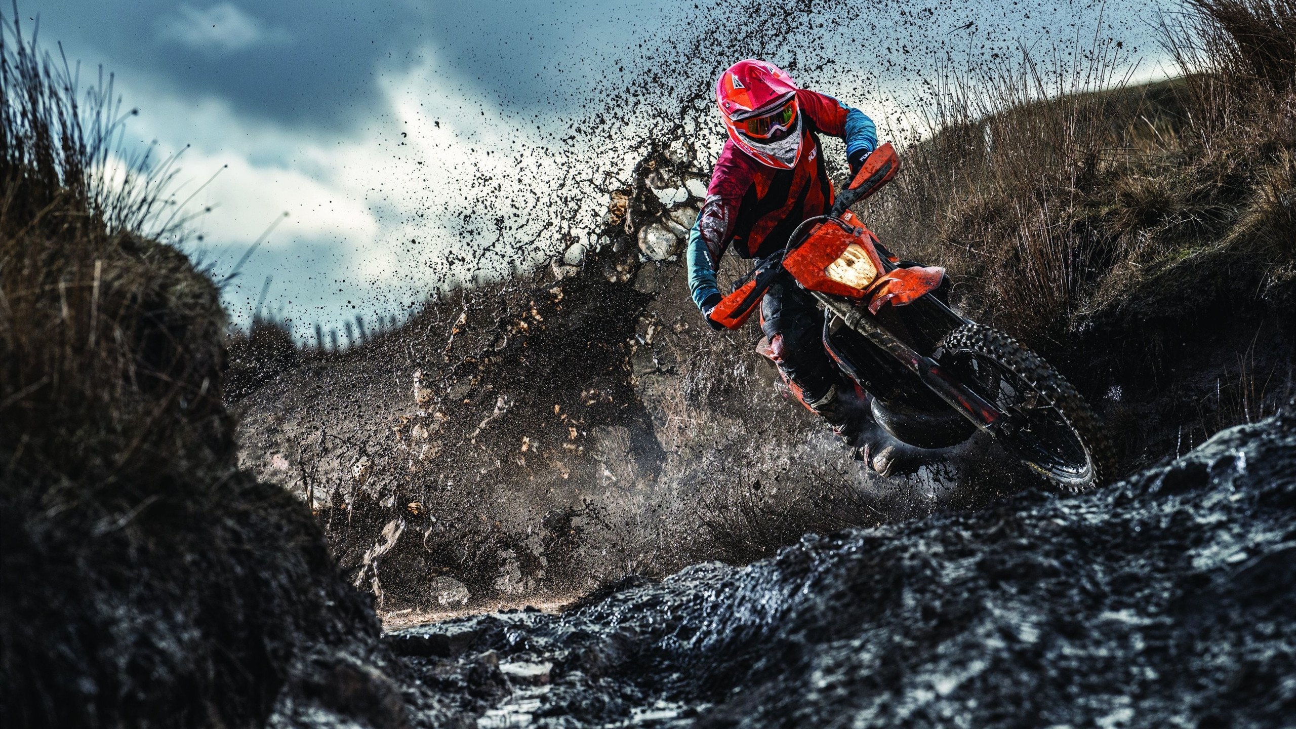 “夺冠时刻:感人瞬间一览无遗”,夺冠令人感动的瞬间