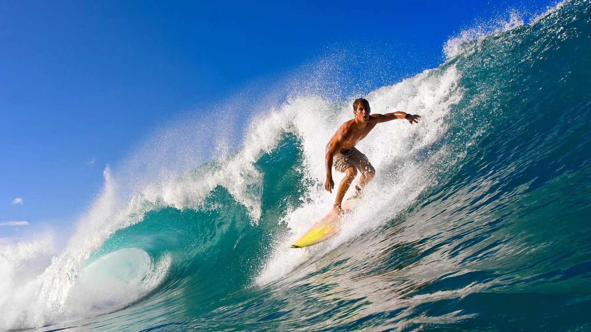 卡迪夫城快速反击凶猛，蓝鸟军团稳定表现，卡迪夫蓝调风格